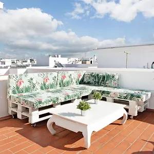  Apartamento Adosado Conil Centro - Familias